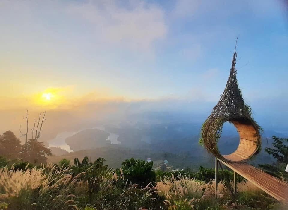 Bình minh và sương trên đồi Tà Đùng, có tổ chim check-in bằng mây tre
